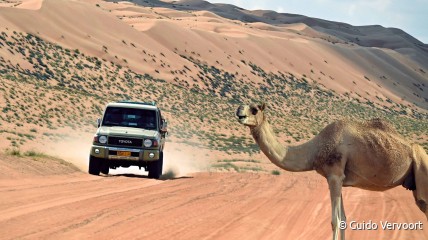 Oman & Dubai, Arabisch sprookje in de woestijn (i.s.m. Cultuursmakers Knokke-Heist)